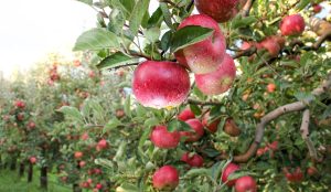 一个人与人之间做生意的app插图1 一个人与人之间做生意的app插图1